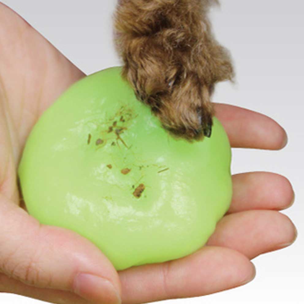 ژل مخصوص پای حیوانات PawCare